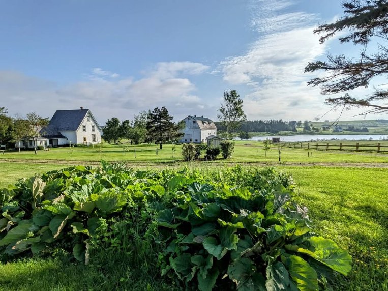 Anne of Green Gables Museum